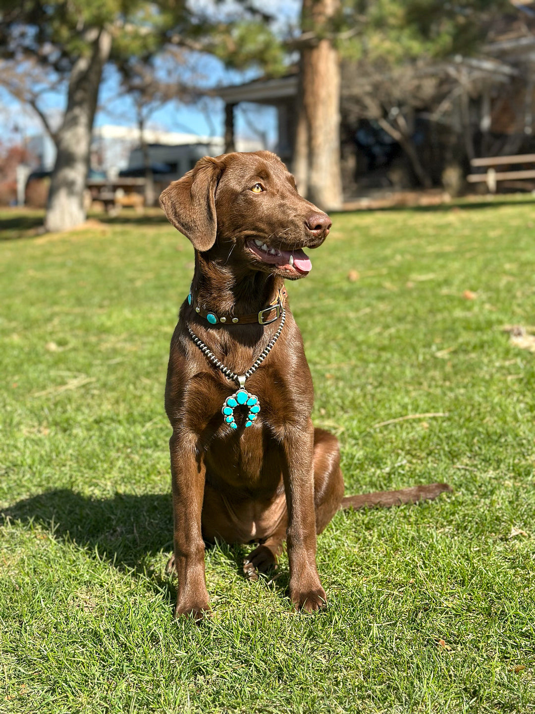 Large Turquoise Naja Pendant