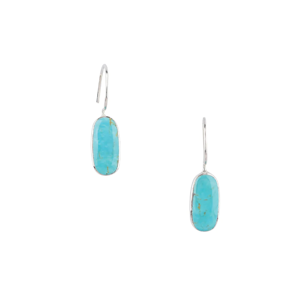 Peyote Bird Celestial Turquoise Earrings