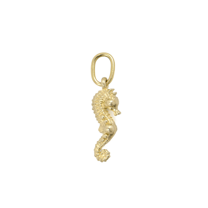 Seahorse Charm