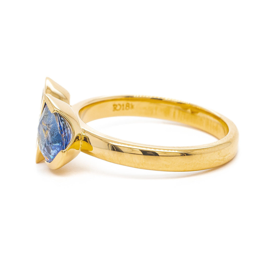 The Fore and Aft Ring