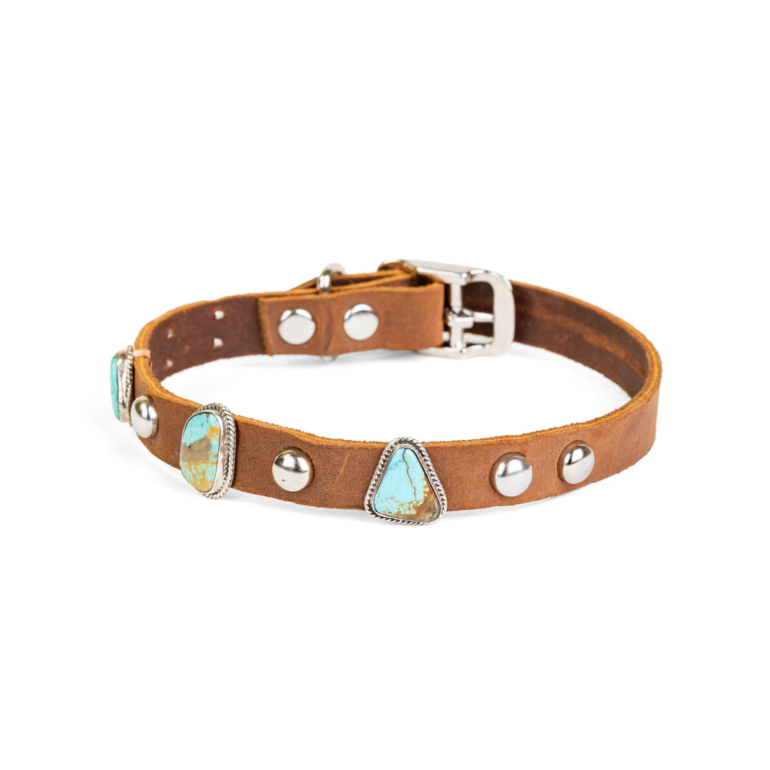Kingman Turquoise 3 Stone Dog Collar