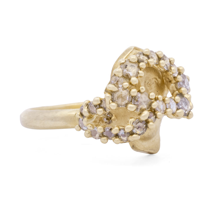 Diamond "Sybil Through the Veil" Ring