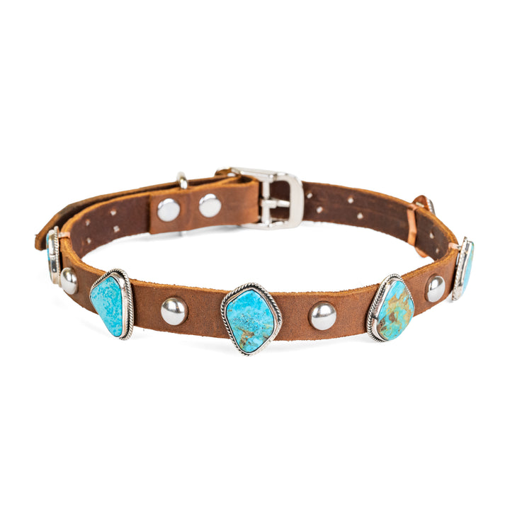 Kingman Turquoise 6 Stone Dog Collar
