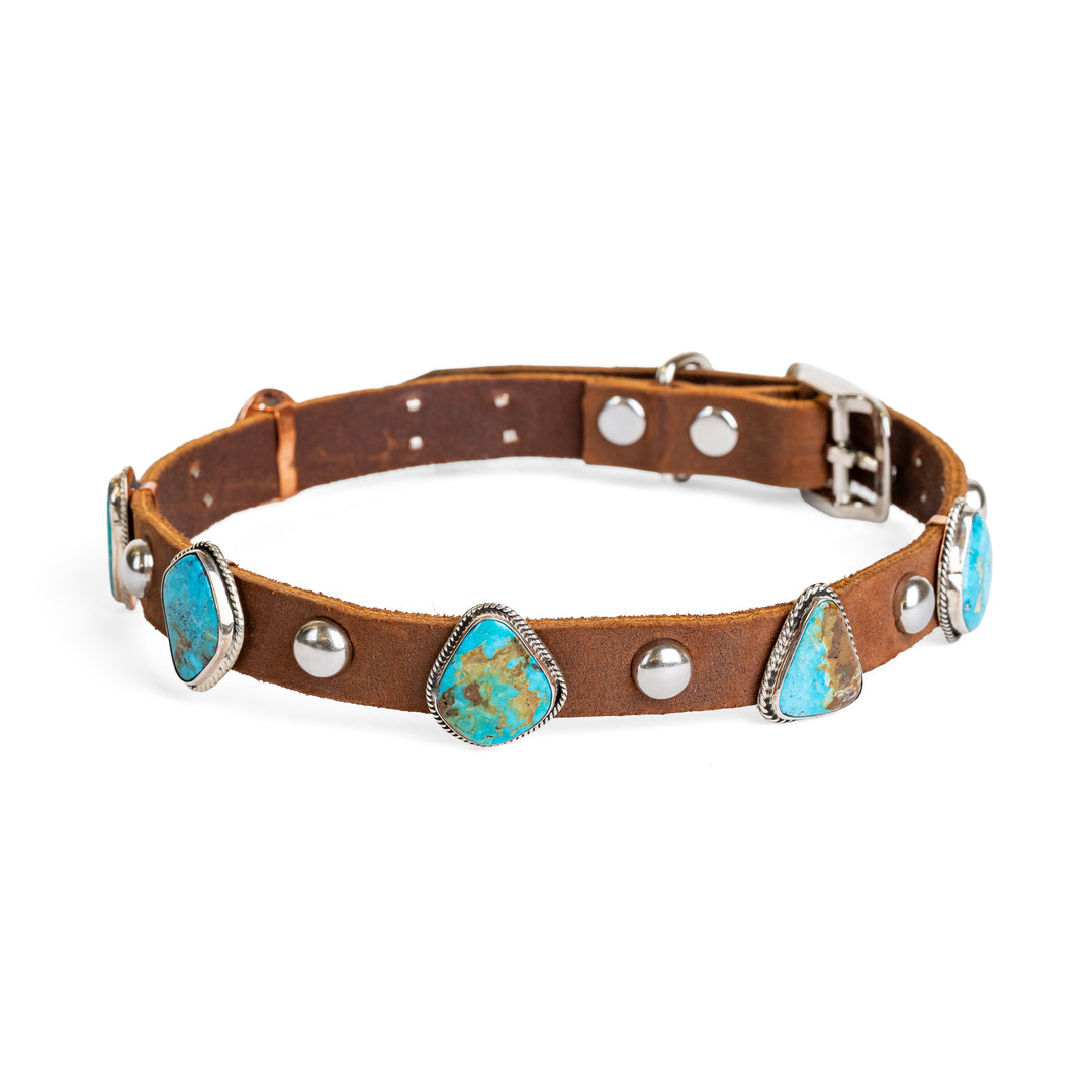 Kingman Turquoise 6 Stone Dog Collar