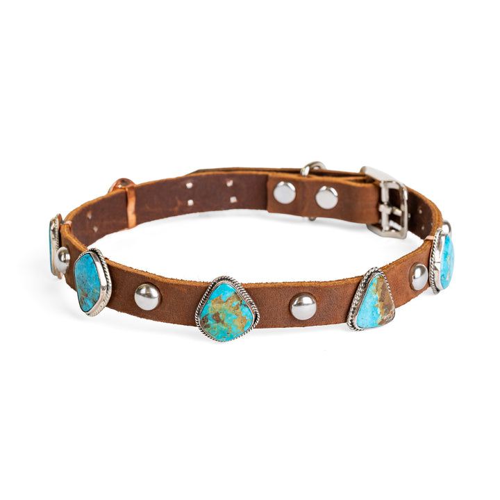 Kingman Turquoise 6 Stone Dog Collar