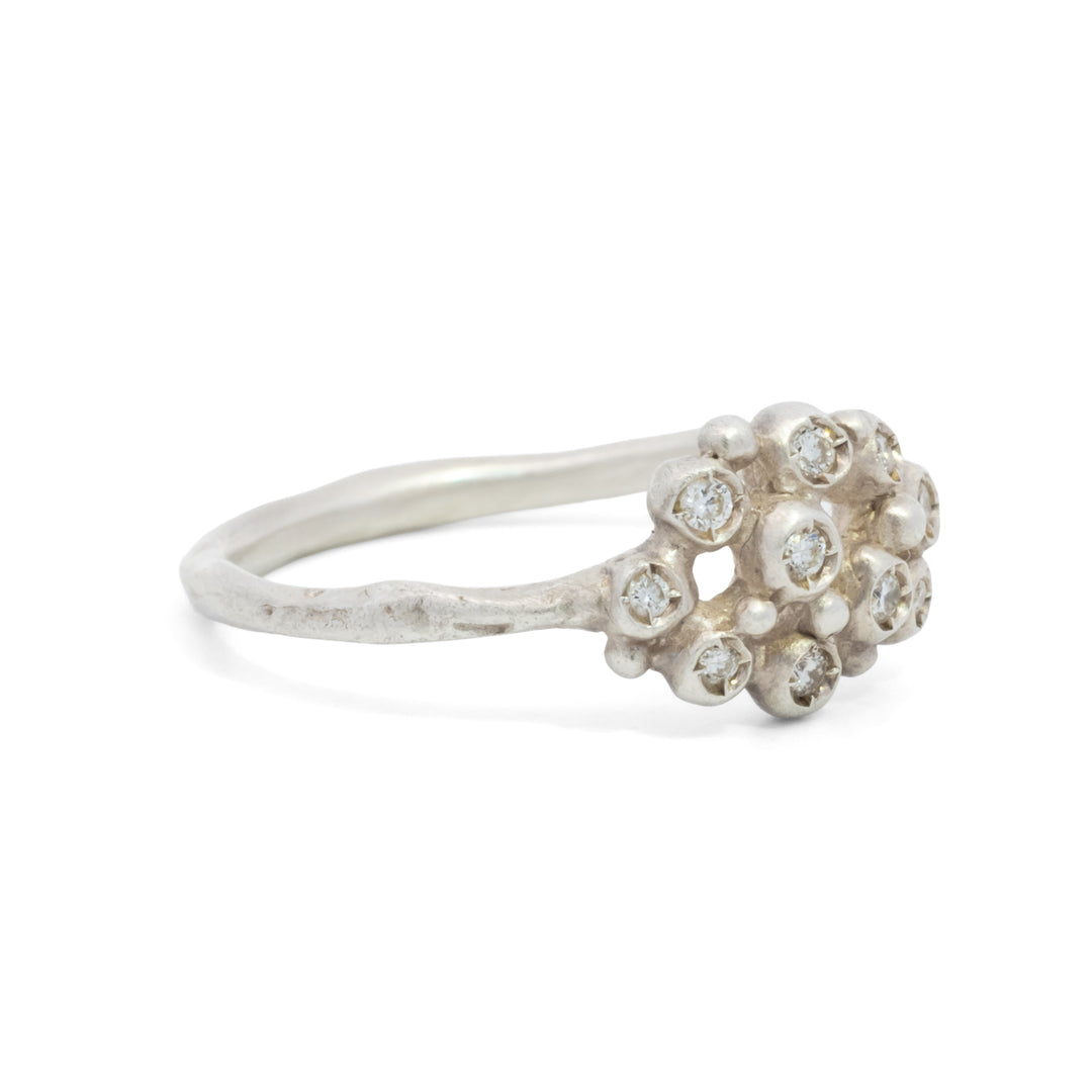 Branch Cluster Ring
