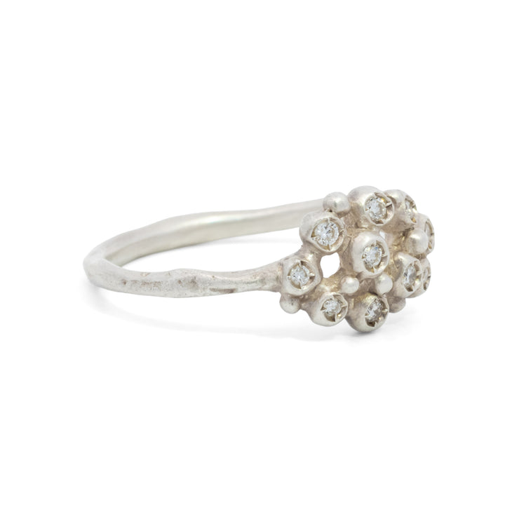 Branch Cluster Ring