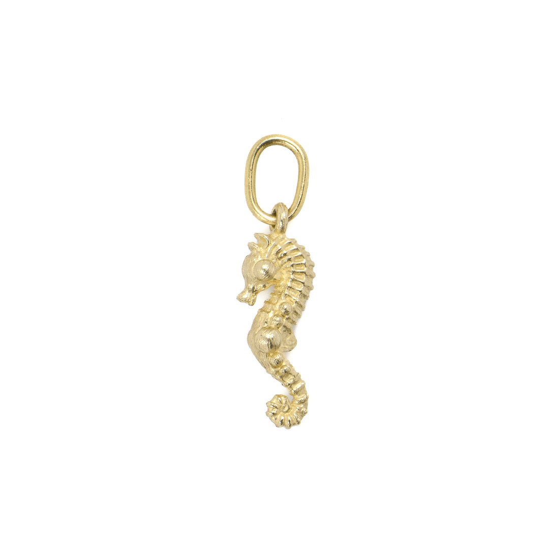 Seahorse Charm